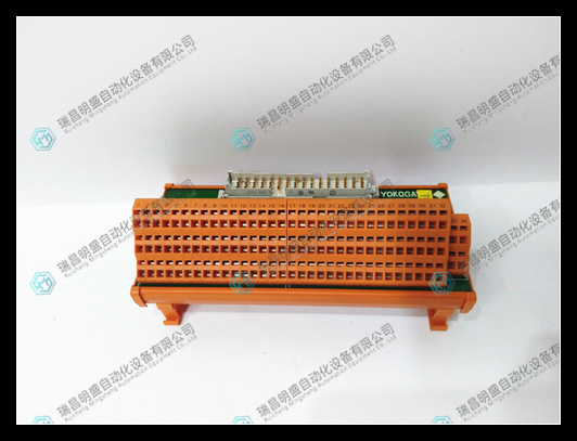 Yokogawa 8596020000电机