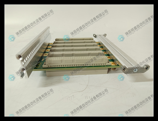 ELMA 1900002919-0000R(3).jpg