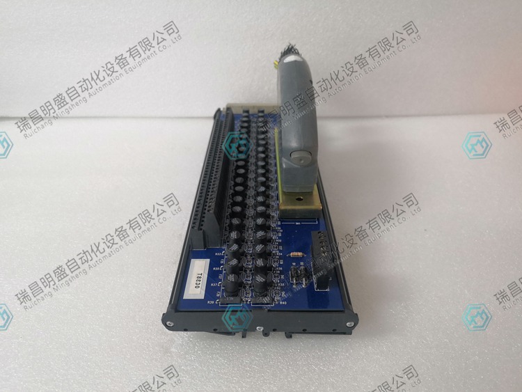 ICS TRIPLEX  T8830自动化备件模块