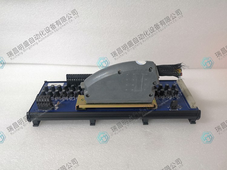 ICS TRIPLEX  T8830自动化备件模块