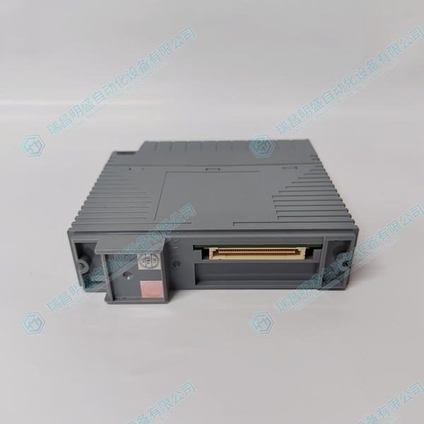 YOKOGAWA VC401-10 模拟输入电子模块