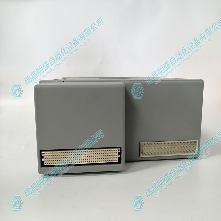 ICS TRIPLEX T8110B 可拓展模块