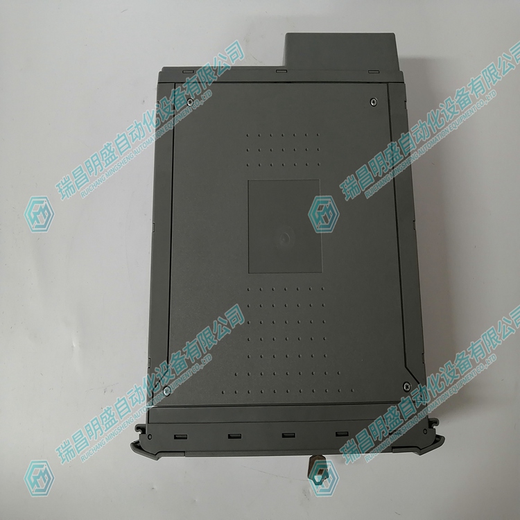 ICS TRIPLEX T8110B 可拓展模块