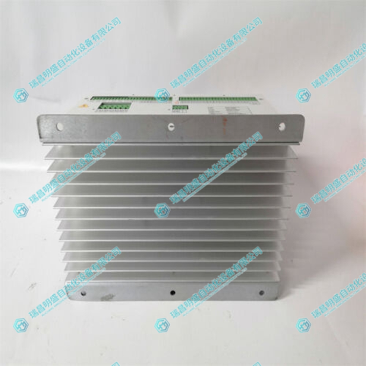 BASLER DECS-200-2C数字励磁控制系统