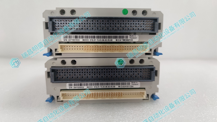Emerson 1C31234G01 输入输出模块