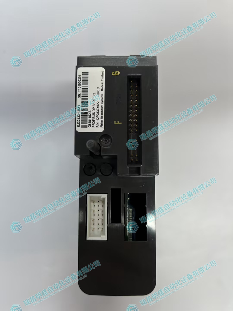 EMERSON VE4022 可编程控制器模块