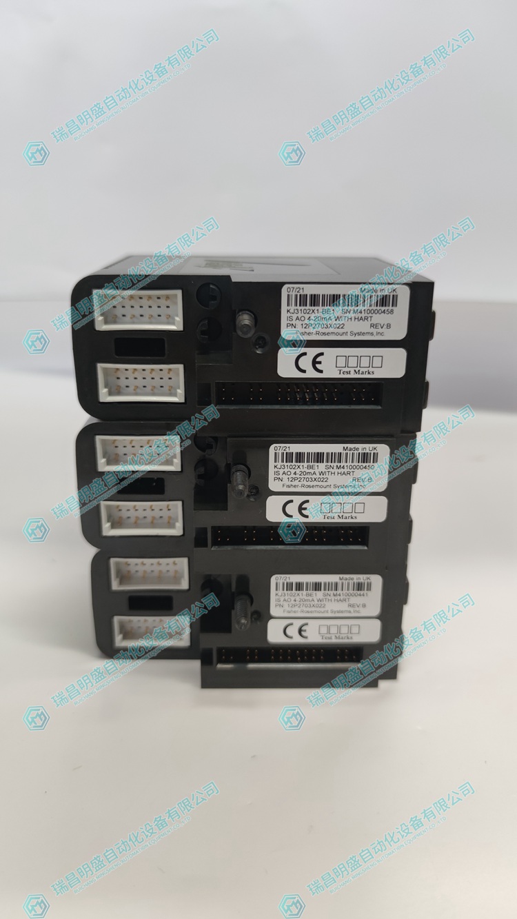 EMERSON VE4013S2B1 标准I/O接线板