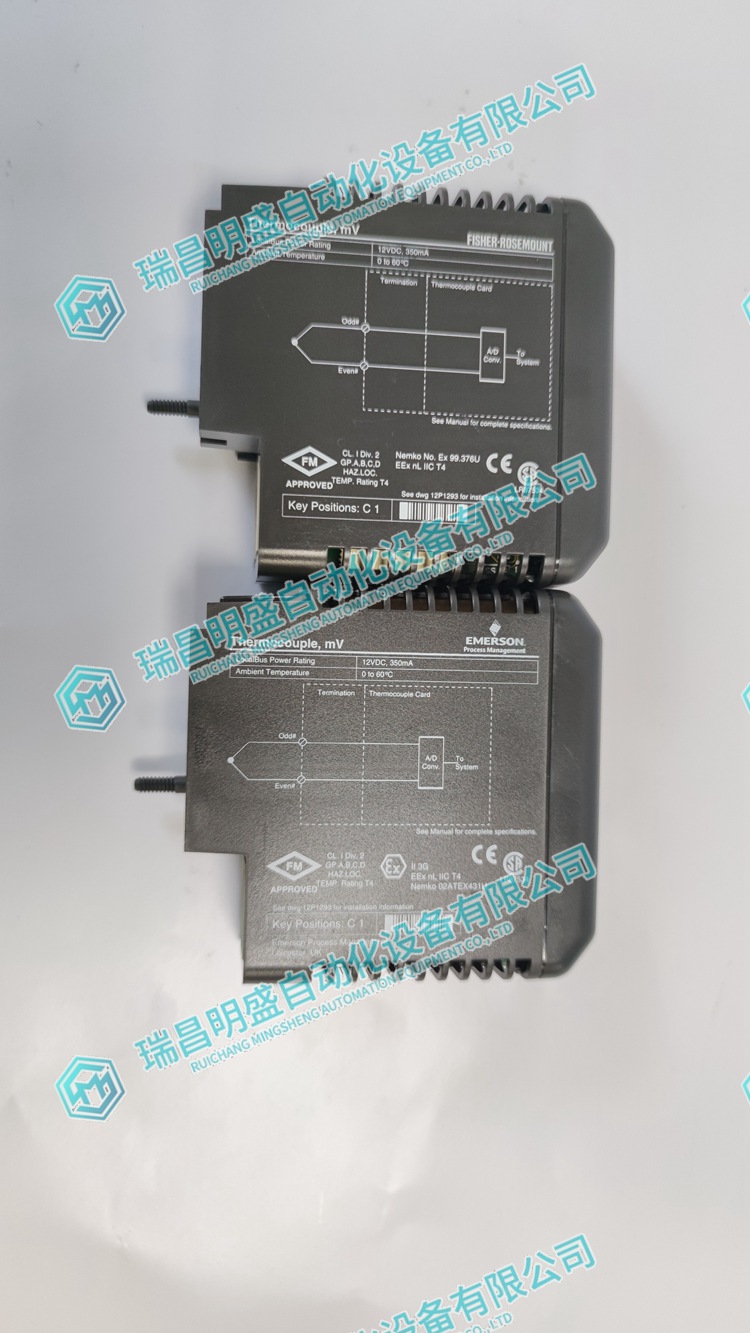 EMERSON VE4003S5B1监视控制系统