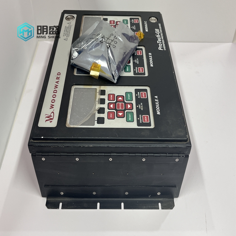 WOODWARD 8237-1246 (6).jpg